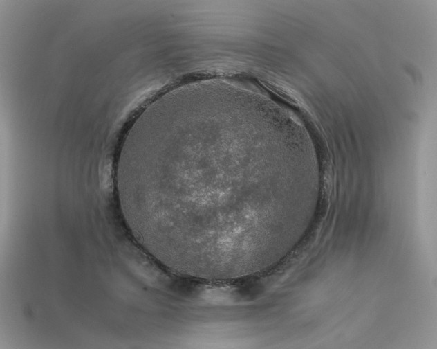 X0000113600403200909181356