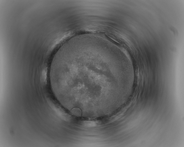 X0000113600404200909181356