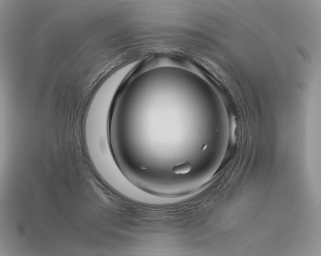 X0000113600405200909181356