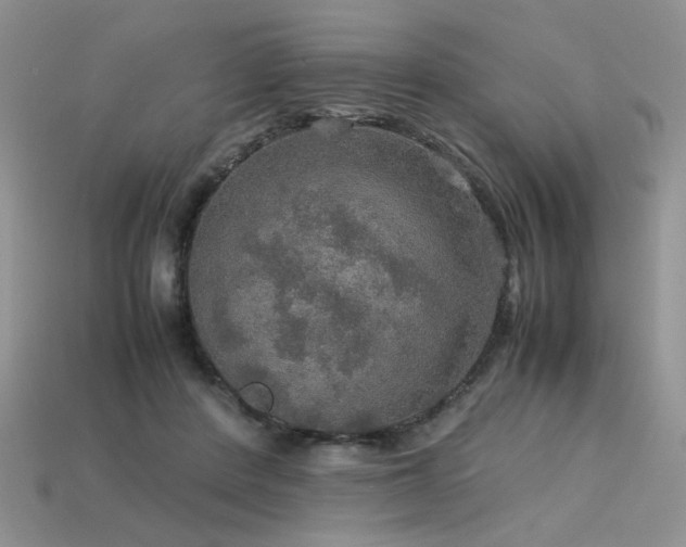 X0000113600408200909181356