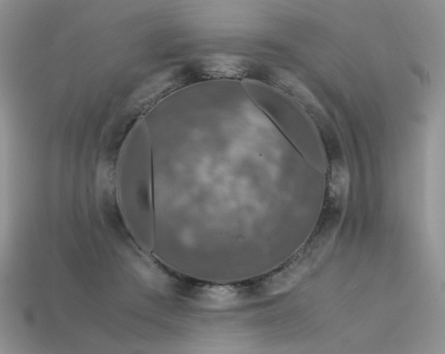 X0000113600409200909181356