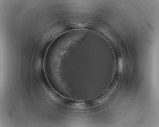 X0000113600410200909181356