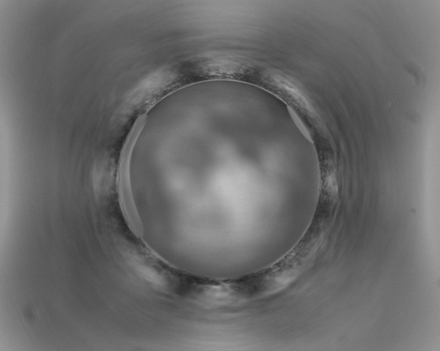 X0000113600411200909181356