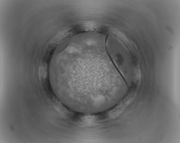 X0000113600413200909181356