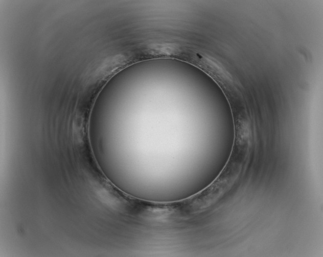 X0000113600414200909181356