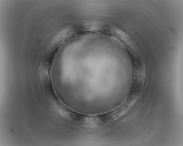 X0000113600415200909181356