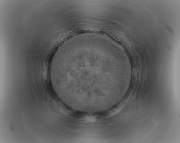 X0000113600416200909181356