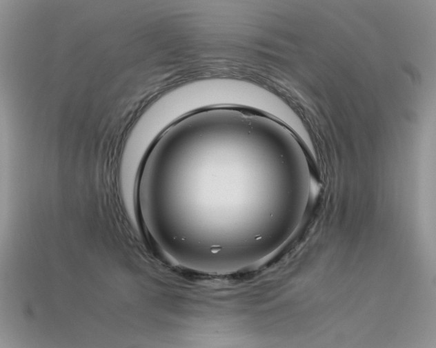 X0000113600417200909181356