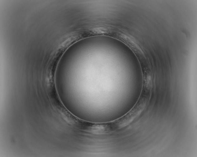 X0000113600418200909181356