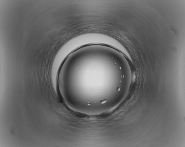 X0000113600419200909181356