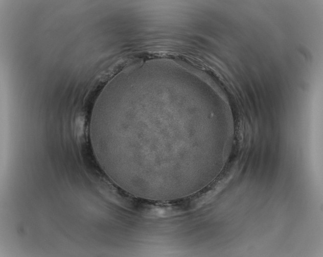 X0000113600420200909181356