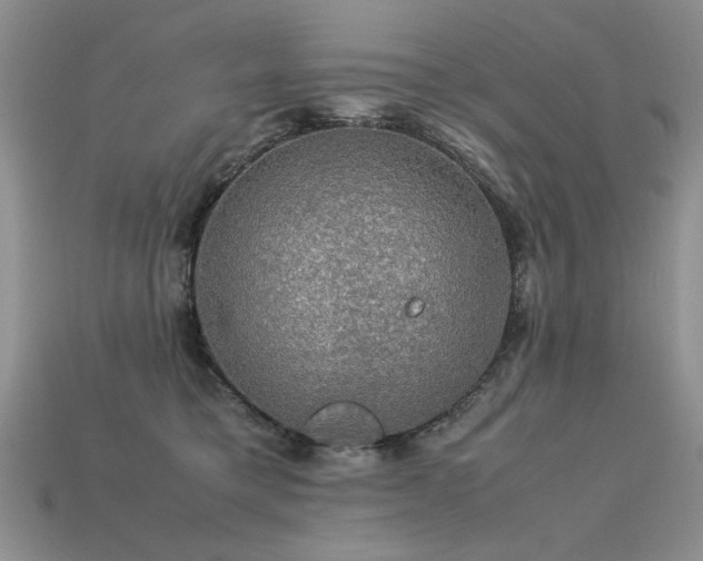 X0000113600421200909181356