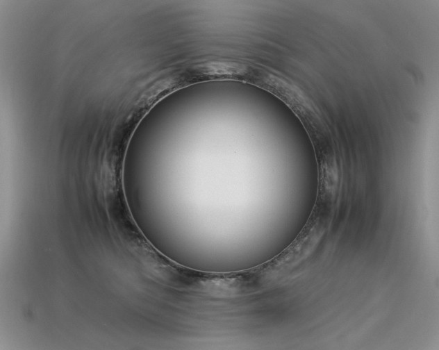 X0000113600422200909181356