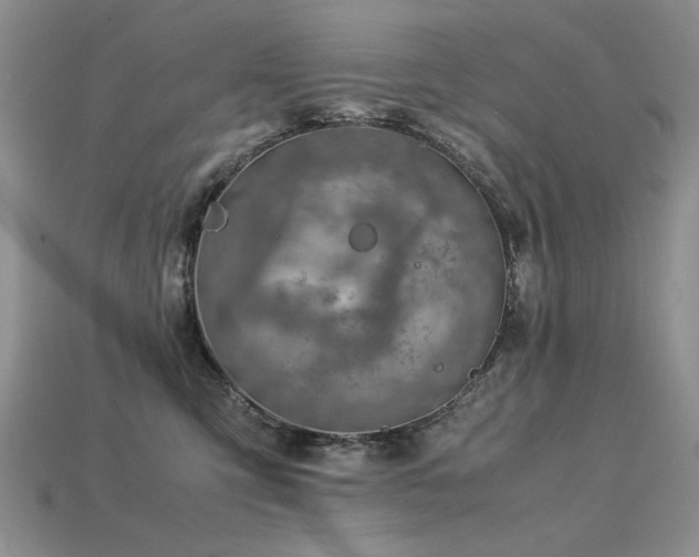 X0000113600423200909181356