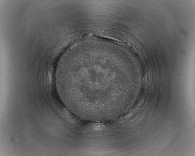 X0000113600424200909181356