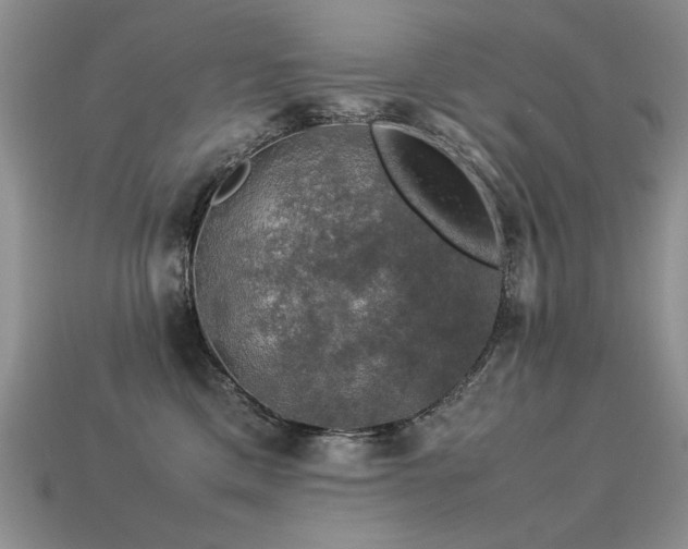 X0000113600425200909181356