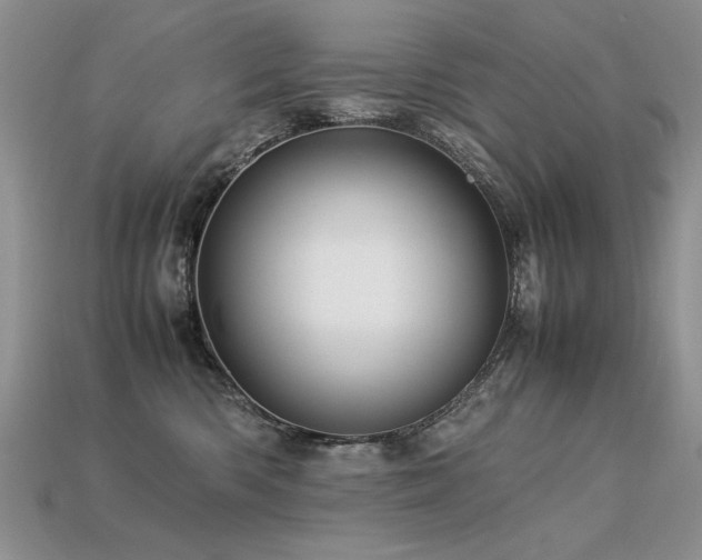 X0000113600426200909181355