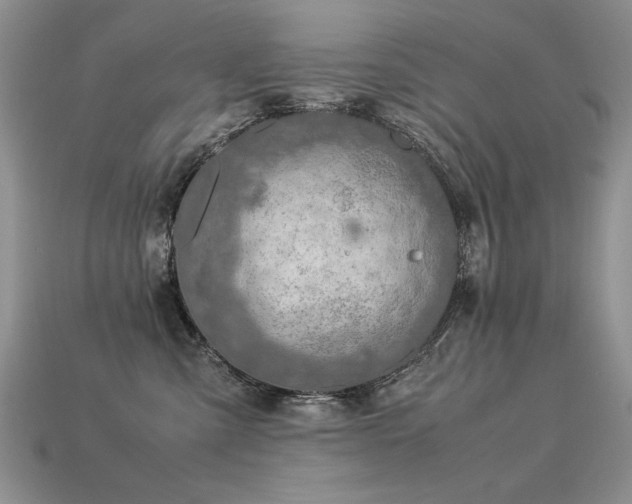 X0000113600427200909181355