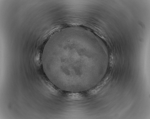 X0000113600428200909181355