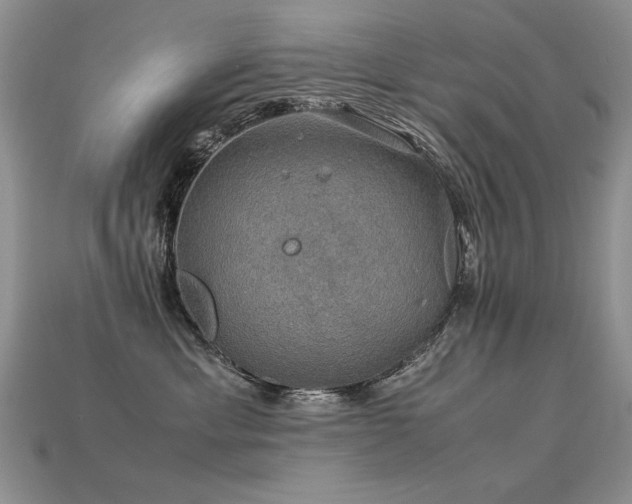 X0000113600429200909181355