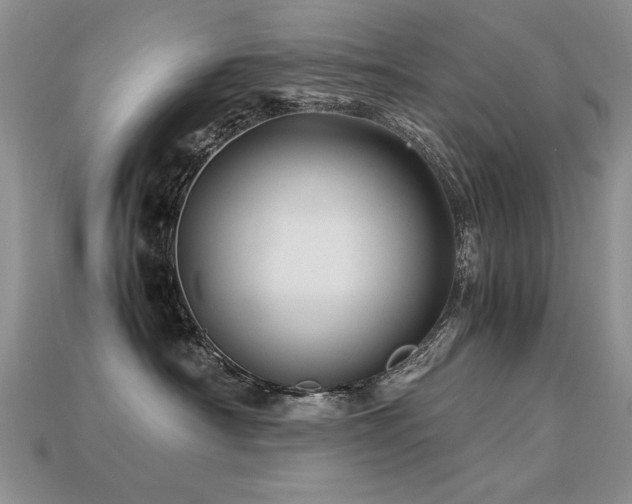 X0000113600430200909181355