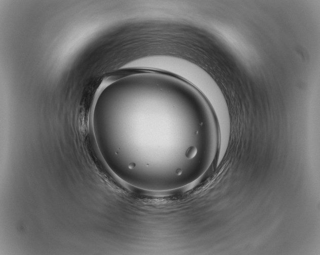 X0000113600431200909181355