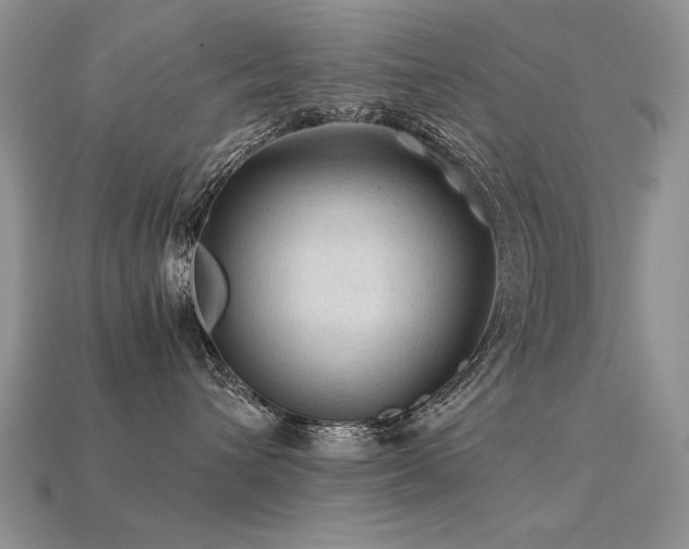 X0000113600432200909181355