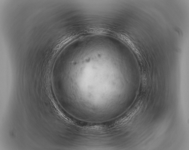 X0000113600433200909181355