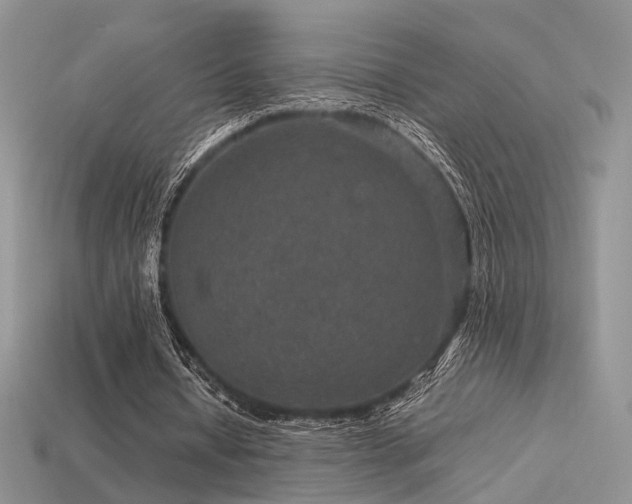 X0000113600434200909181355