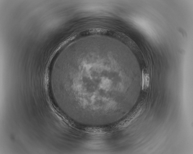 X0000113600435200909181355