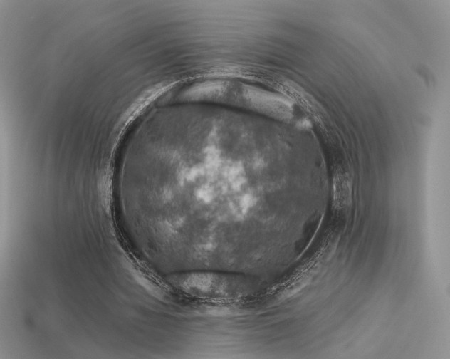 X0000113600436200909181355