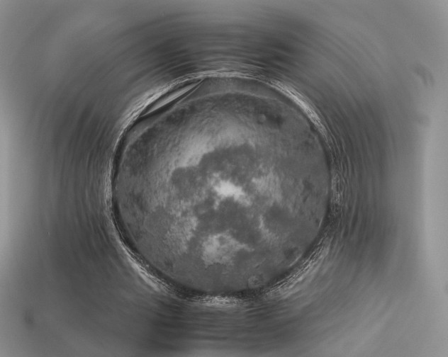 X0000113600437200909181355