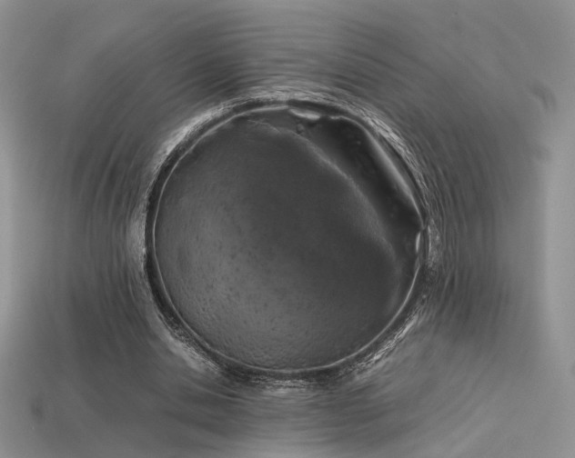 X0000113600438200909181355