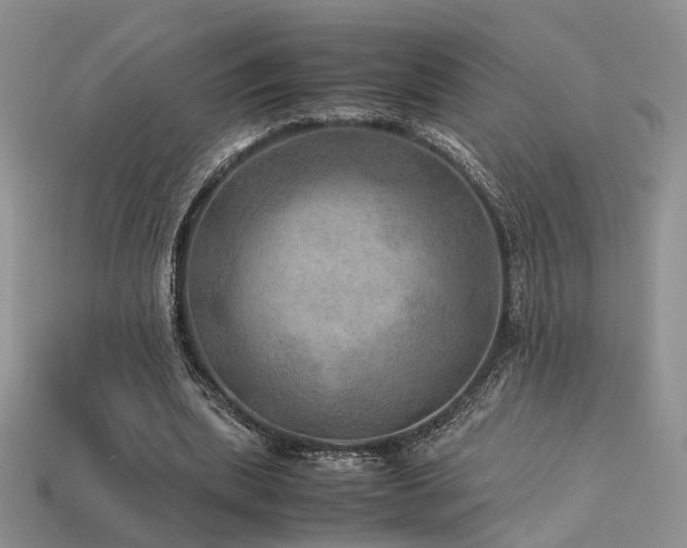 X0000113600439200909181355