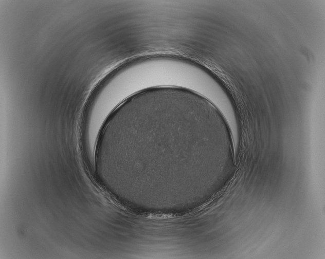 X0000113600440200909181355