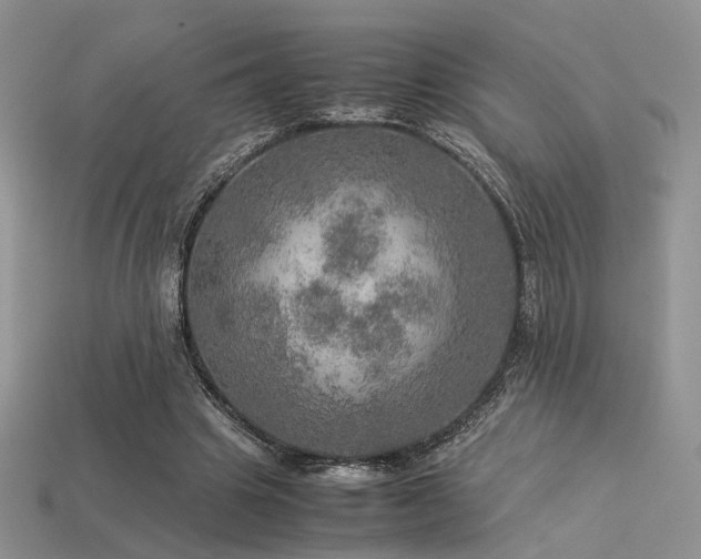 X0000113600441200909181355