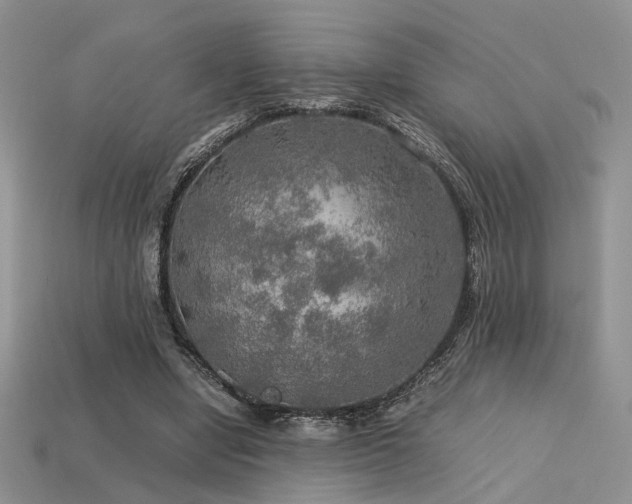 X0000113600442200909181355