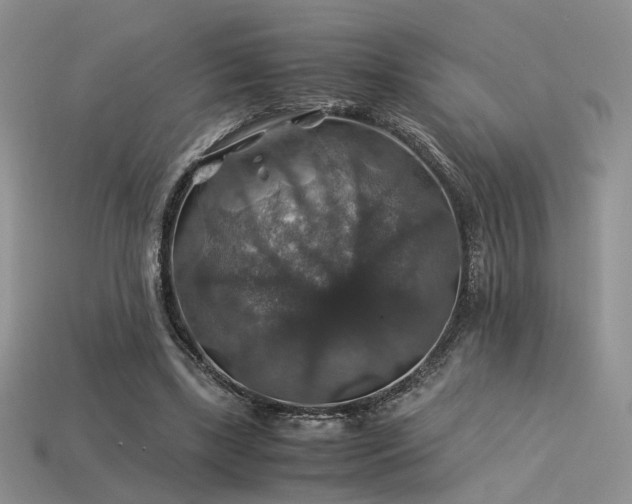 X0000113600443200909181355