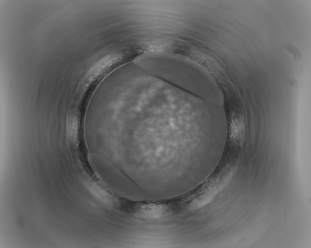 X0000113600444200909181355