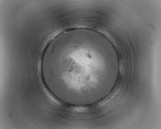 X0000113600445200909181355