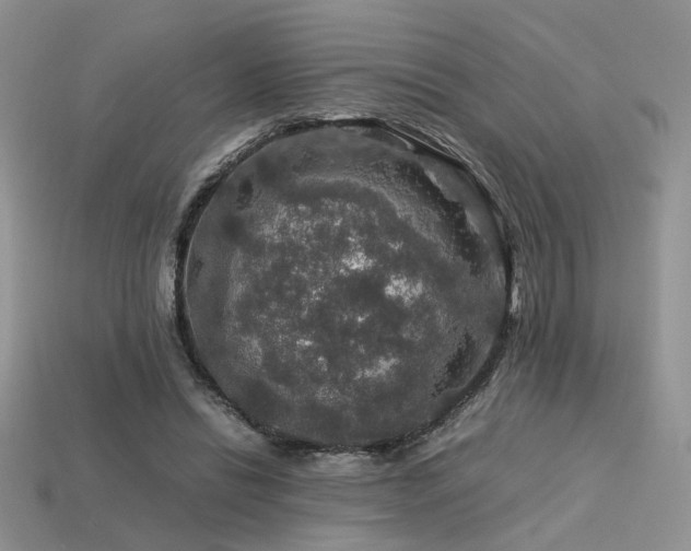 X0000113600446200909181355