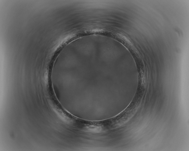 X0000113600447200909181355