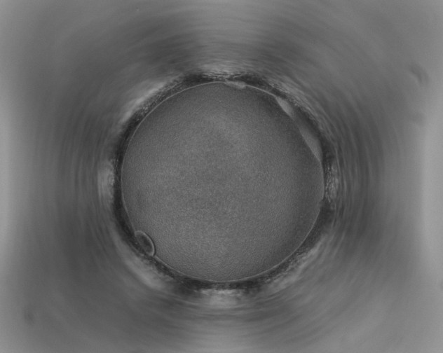 X0000113600448200909181355