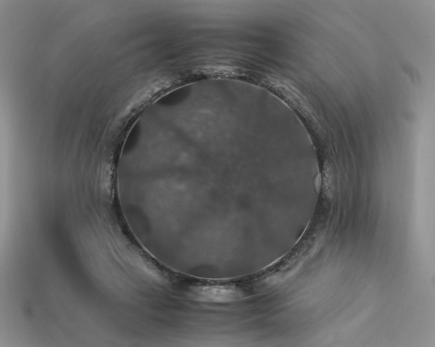 X0000113600449200909181355