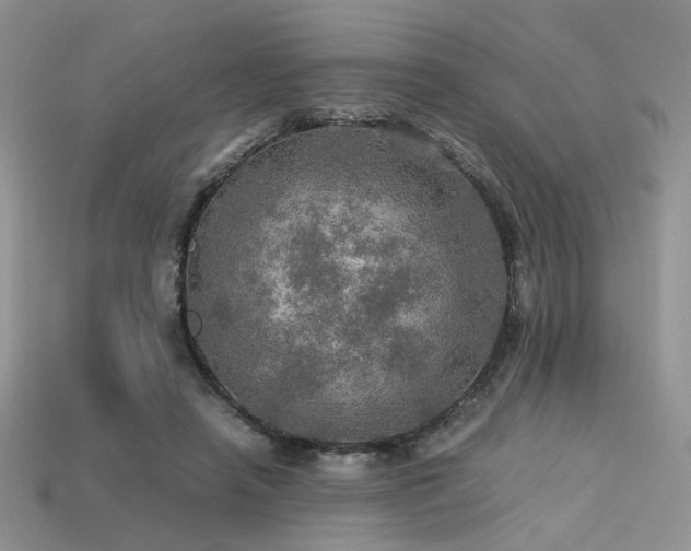 X0000113600450200909181355