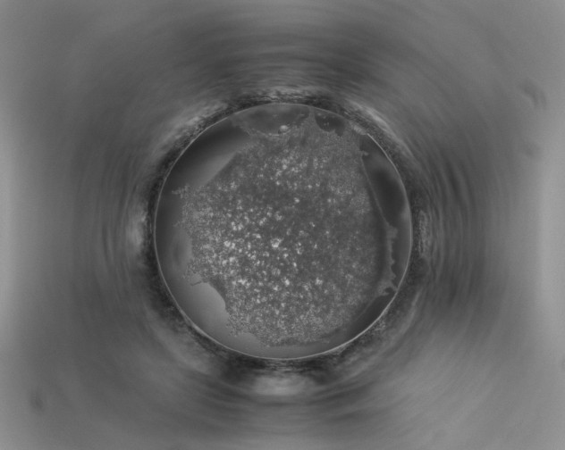 X0000113600451200909181355