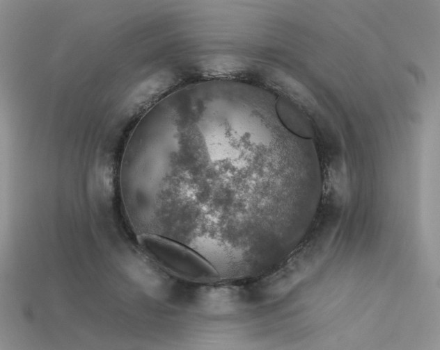 X0000113600452200909181355