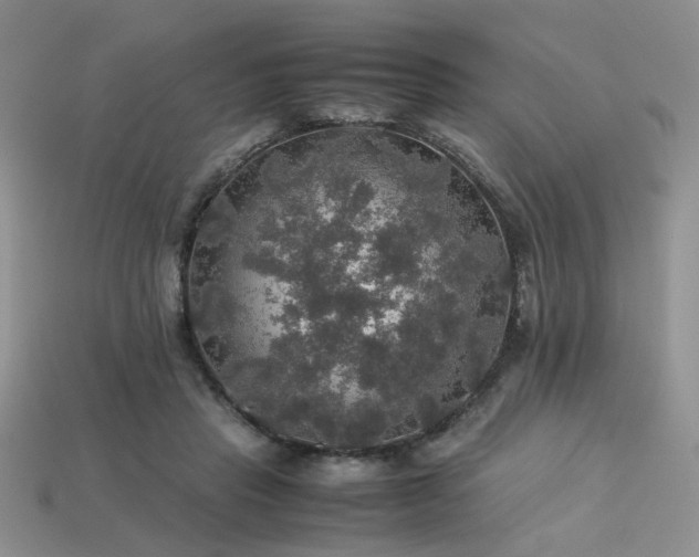 X0000113600453200909181355