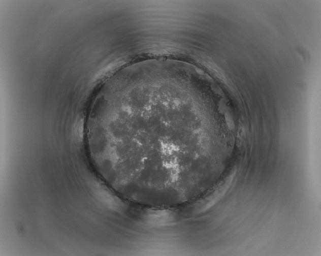 X0000113600454200909181355