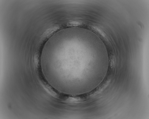 X0000113600455200909181355